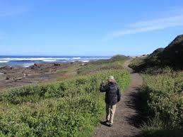 Person Walking 804 Trail by the Ocean