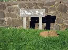 Whale Park Sign