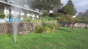 Water Spouting From the Ground in a Lawn