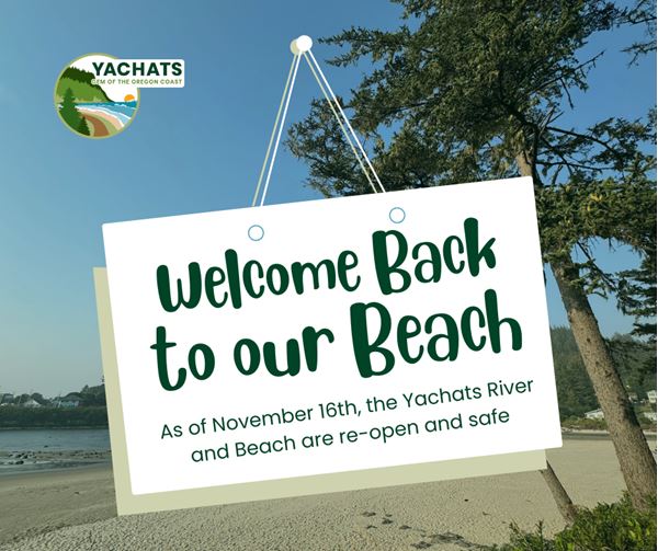 Welcome Back to the Beach